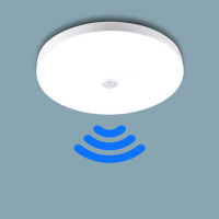 110V 220V Led Ceiling Lights Smart Motion Sensor Light 30W 40W Led Ceiling Lamp Light Fixture for Living Room Kitchen Lighting