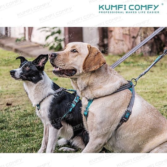 สายจูงสุนัขหลายฟังก์ชั่น-complete-control-lead-kumfi-comfy-จากตัวแทนจำหน่ายอย่างเป็นทางการ-เจ้าเดียวในประเทศไทย