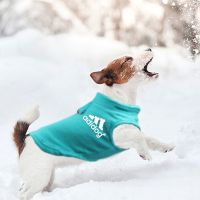 Roupas felpudas para cães, colete de pequeno e médio porte para cães, roupa de buldogue francês, terno de anel, outono e inverno