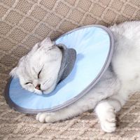 Prevent Bite No Odor After Surgery Cat Neck Protective Cone Decor Pet Supplies Puppy Dog Accessories Elizabethan Anti-licking