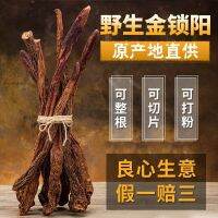 Alxa Wild Cynomorium Mens Nourishing Soaking Wine Material Chinese Herbal Medicine Soaked in Water with Cistanche Genuine