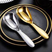 ✲♙﹍ 304 Stainless Steel Spoon Household Spoon Thickened Service Spoons Commercial Hotel Restaurant Public Spoon