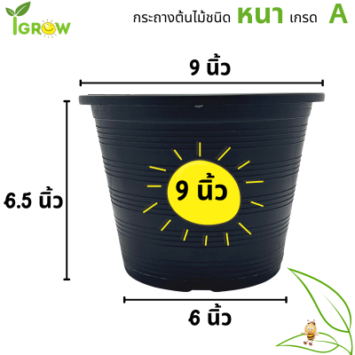 กระถางต้นไม้ 9 นิ้ว กระถางพลาสติก กระถางบอนสี กระถางแคนตัส สีดำ 9 นิ้ว คุณภาพดี ราคาถูก