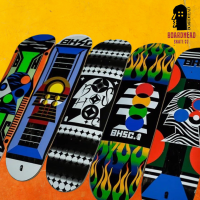 แผ่นสเก็ตบอร์ด BoardHead Skateboard Deck พร้อมส่ง