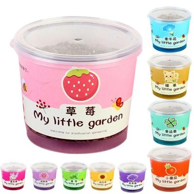 Kids Gardening Set Mini Paint and Plant Flower Growing Kit Small Flower Planting Kit for Outdoor Kindergarten Fun Kids Plant Kit for Mothers Day everyone