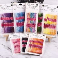 Embroidery Thread 8 Colors Gradient Set Cross Stitch Cotton Sewing Skein Embroidery Thread Floss Kit DIY Sewing Tools