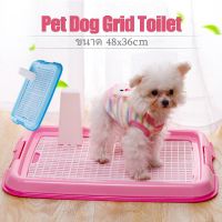 ห้องน้ำสุนัข ห้องน้ำหมา แบบมีเสา ถาดฉี่สุนัข ถาดรองฉี่สัตว์เลี้ยง Dog Training Tray Dog Toilet