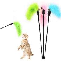 （A LIKE077）1PC Cat Stick ของเล่นแบบโต้ตอบขนนกสีสันสุ่มสีตุรกีหยอกล้อแมวอุปกรณ์สัตว์เลี้ยงเครื่องมือ