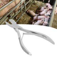 สแตนเลสหัวตรงหมูตัดฟันหมูฟันกรรไกร Piglet Clipper Forceps