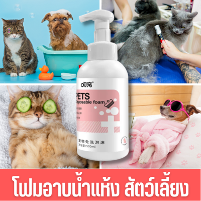 โฟมอาบน้ำแห้งหมา โฟมอาบน้ำแห้งแมว ดับกลิ้นสะตว์ โฟมอาบน้ำแห้งง่ายๆ ขจัดกลิ่้น แชมพูสุนัข แชมพูแมว