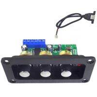 Bluetooth 5.0 Amplifier Power Audio Board 30W Mono Stage Power Amplifier Board, U Disk Decoder