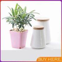 BUY HERE  กระถางต้นไม้พลาสติก พร้อมถาดรอง กระถางขนาดเล็ก  Plastic flowerpot