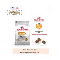 Royal Canin Mini Coat Care1 kg. อาหารเม็ดสำหรับสุนัขโตทุกขนาด ที่ต้องการดูแลเส้นขนขนาด1กก.