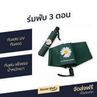 ?ขายดี? ร่มพับ 3 ตอน กันแสง UV กันแดด กันฝน แข็งแรง น้ำหนักเบา - ร่มกันแดด ร่มใหญ่ ร่มกันฝน ร่มญี่ปุ่น ร่มพับญี่ปุ่น ร่ม ร่มพรีเมี่ยม ร่มกันยูวี ร่มเด็ก ร่มสวยๆ ร่มพับแข็งแรง ร่มกันแดด UV ร่มพกพา ร่มบังแดด ร่มสวย ร่มสวยงาม umbrella women