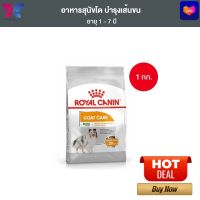 Royal Canin Mini Coat Care 1kg อาหารเม็ดสุนัขโต พันธุ์เล็ก ดูแลสุขภาพเส้นขน อายุ 10 เดือนขึ้นไป (Dry Dog Food, โรยัล คานิน)