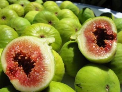 10 เมล็ด เมล็ดมะเดื่อฝรั่ง Figs สายพันธุ์ Calimyrna ของแท้ 100% มะเดื่อฝรั่ง หรือ ลูกฟิก (Fig) อัตรางอก 70-80% Figs seeds มีคู่มือวิธีปลูก