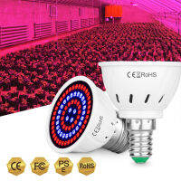 หลอดไฟ Grow Led สำหรับพืช Phytolamp 80เม็ดแสงเติบโตในร่ม