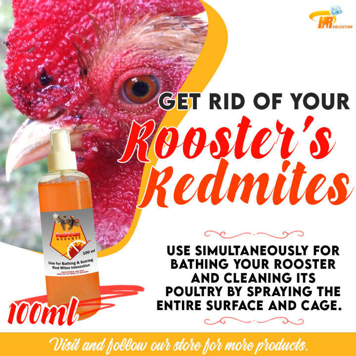 Redmites Goodbye Spray 100ml Natural Redmites Killer ( Pamatay Kuto ng