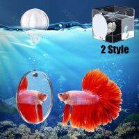 Acrylic Aquarium Betta Mirror Fish Tank Floating Mirror For Fish Betta Flowerhorn Cichlid Training Playing Accessories