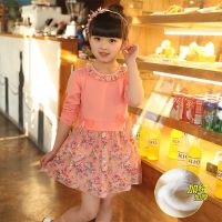 Baby off two girls in the spring and autumn the new dress suits little girl summer dress children show brim princess dress