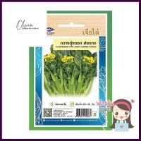 เมล็ดพันธุ์กวางตุ้งดอกฮ่องกง ตราเจียไต๋FLOWERING PAK CHOY SEEDS CHIATAI **โปรโมชั่นสุดคุ้ม โค้งสุดท้าย**