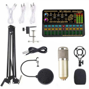 ammoonLive SK500 Sound Card and BM800 Suspension Microphone Kit