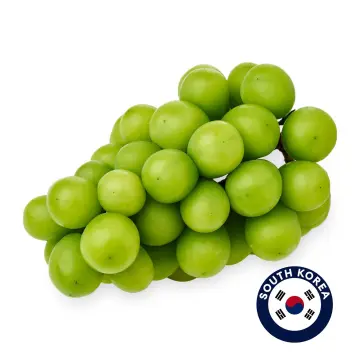 Fresh Organic Green Globe Grapes Fruit Fresh Price Shine Muscat