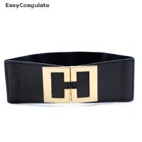 Eas Fashion Women Wide Waist Stretch Cinch Girls Waistband Waist Seal Wide Belts Ate