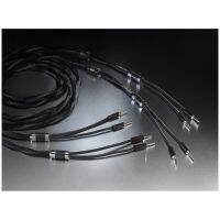 สายลำโพง Esprit Audio Celesta Speaker Cable 3M (New)