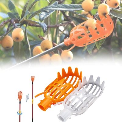▤◙♦ Garden Basket Fruit Picker Head Multi-Color Plastic Fruit Picking Tool Catcher Agricultural Bayberry Jujube Picking Supplies