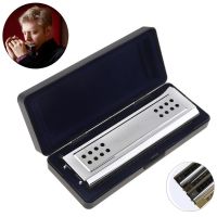 Professional 24 Holes Key of C G Silver Double-side Tremolo Harmonica for Adult Beginner and Children