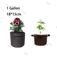 1 Gallon Fruit Plant Grow Bags Tree Pots Fabric Planting Garden Tools Growing Vegetables Planter Bags Home Supplies 6TH