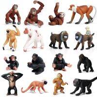 Kinds Apes and Monkeys Figure Collectible Figures Kids Cognitive