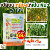 ฟูกรีน XL ขนาด 50 กรัม เขียวขนลุก ฟื้นต้น ?บำรุงต้น-ใบ?กระตุ้นการแตกยอด แตกราก เร่งการเติบโต ป้องกันพืชโทรม เขียวดี โตไว ต้นใหญ่