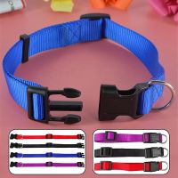 Pet Adjustable nylon dog collars Puppy Dogs Cat Neck Collar Solid Color Chihuahua Puppy nylon Collars Leashes