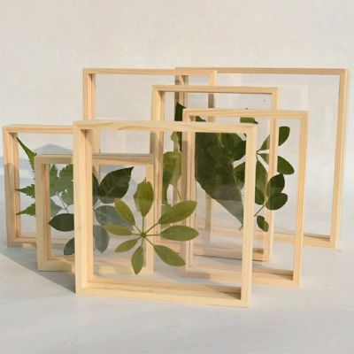 ลายไม้สร้างสรรค์ Tablehuilinshen กรอบตัวอย่างพืชสองกระจกด้านข้างสีล้วนกรอบรูปใสกรอบรูปไม้กรอบรูป