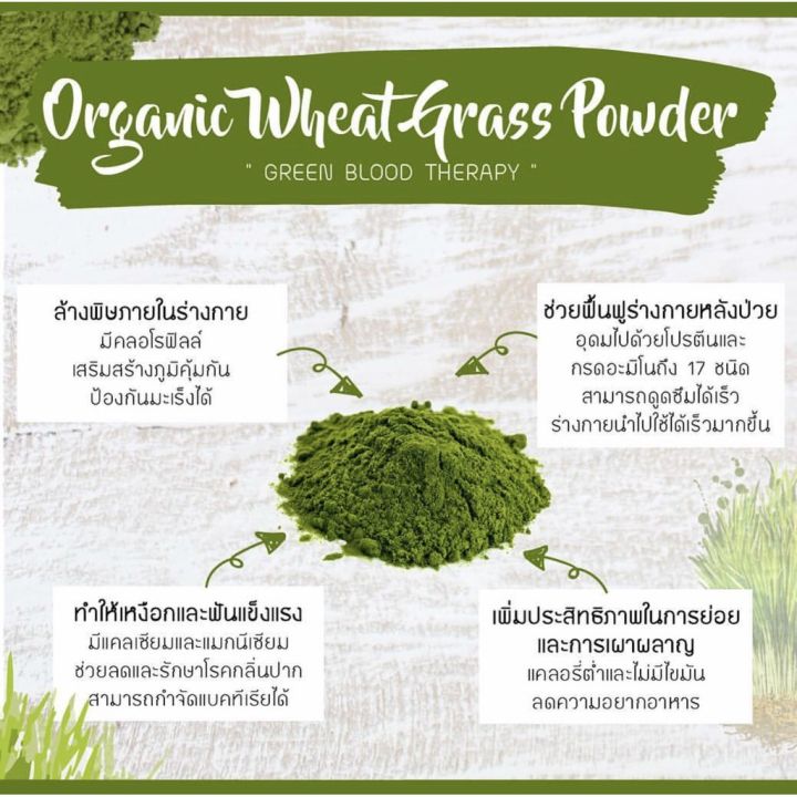 organic-seeds-ต้นอ่อนข้าวสาลี-organic-wheatgrass-powder-50g