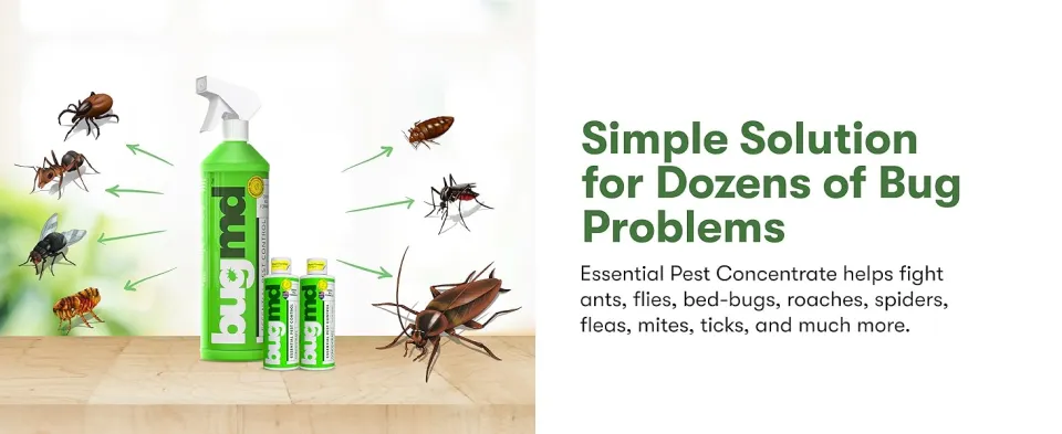 BUGMD Starter Kit - Essential Oil Pest Concentrate (2 Pack), Plant-Powered  Bug Spray Quick Kills Flies, Ants, Fleas, Ticks, Roaches, Mosquitoes and  More 