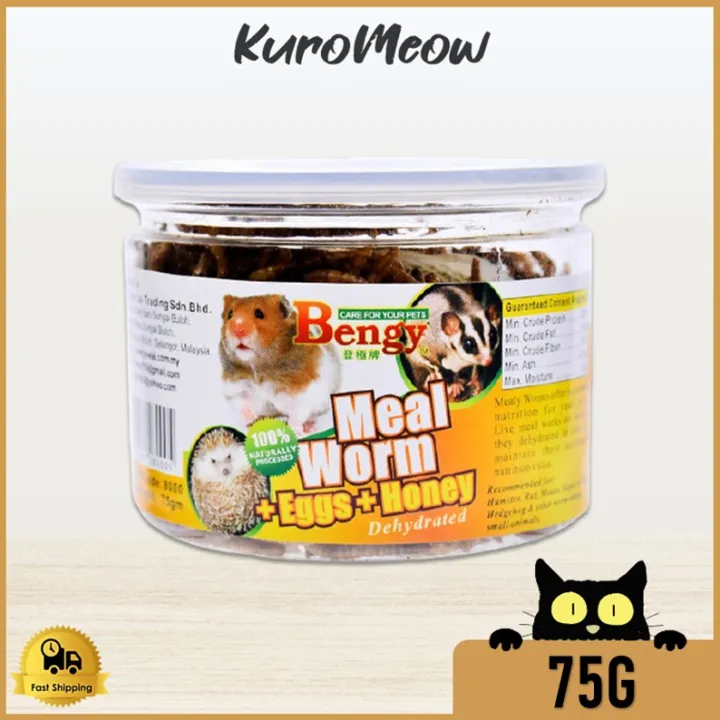Bengy Meal Worm / Mealworm 75g （+Eggs +Honey）Hamster Food Snack Sugar