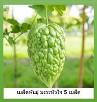 เมล็ด มะระหัวใจสีเขียว - Big Top Bitter