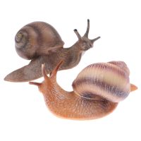 【CC】₪  1 Pc animal insect model mini snail growth cycle Cognitive Educational for children