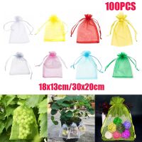 [ELEGANT] 50/100pcs Garden Vegetable Fruit Grow Bag Plants Protection Bags Anti Bird Gardening Drawstring Net Candy Grape Apple Mesh Pouch