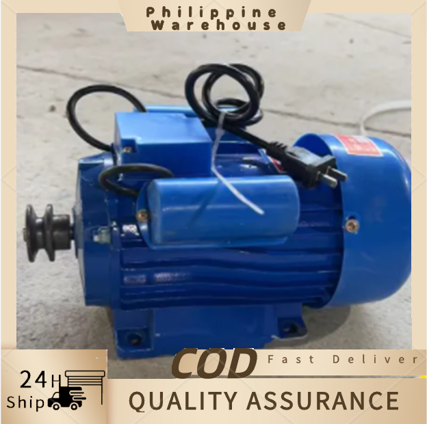 Food processing motor/grinder/meat grinder motor induction motor 220V