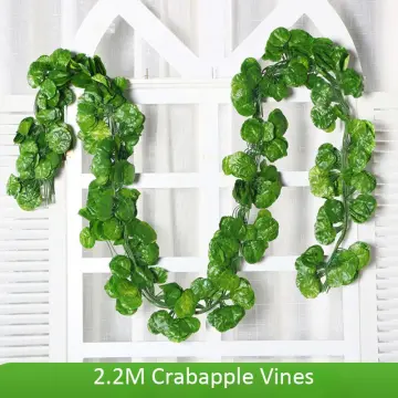 Artificial Rose Vine Flowers with Green Leaves 7.5FT Fake Silk Rose Hanging  Vine Flowers Garland IVY Plants for Home Wedding Party Garden Wall  Decoration - China Artificial Roses Flowers and Eucalyptus Leaf