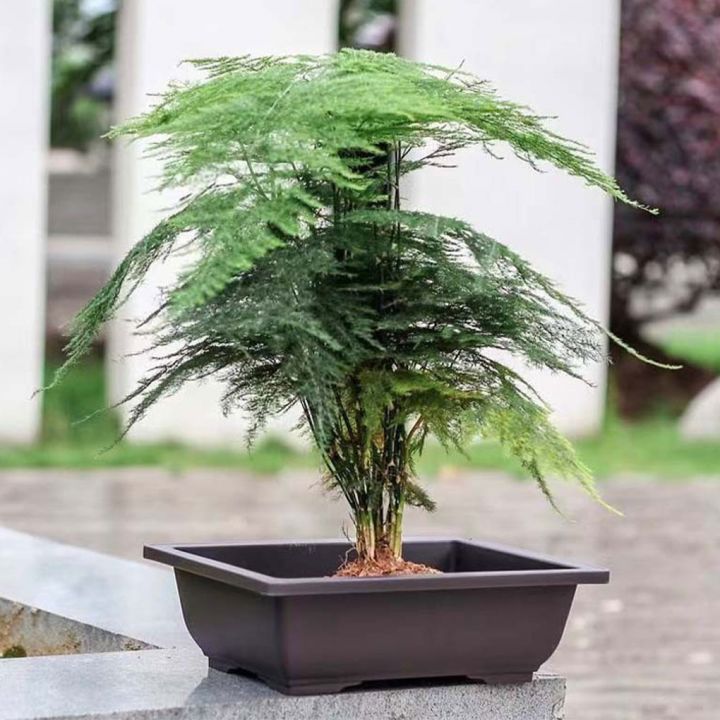 plant-pots-bonsai-succulent-nursery-basin-imitation-purple-sand-desktop-breathable-potted-for-balcony-planting-pot