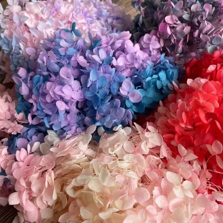 15g-lot-hydrangea-dried-flower-natural-fresh-preserved-flowers-leaves-flower-heads-for-craft-diy-flowers-material-accessorie-new