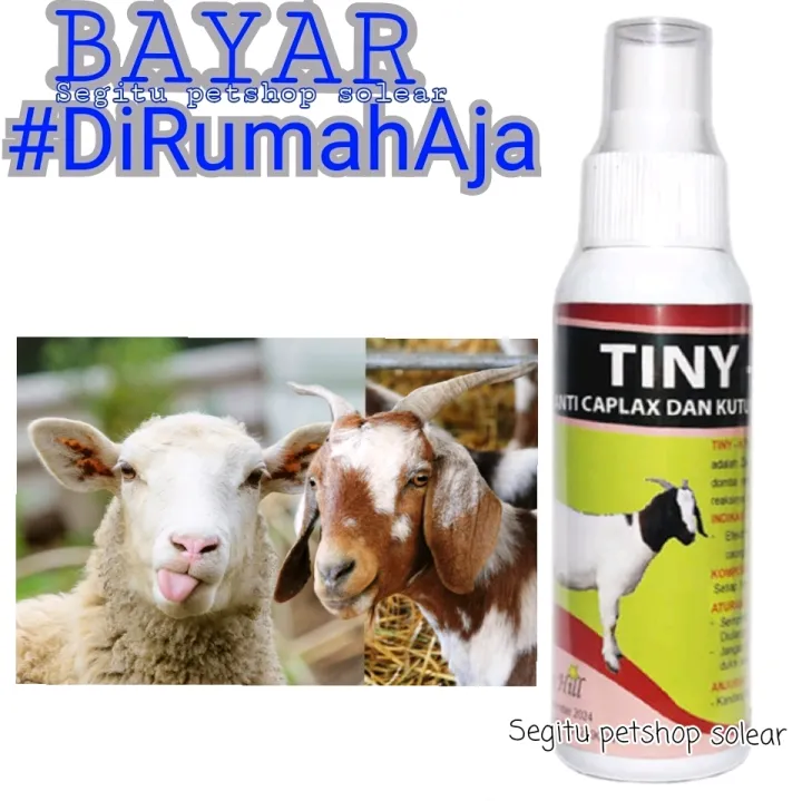 Obat Kutu Kambing Domba Mbe Obat Hewan Ternak Anti Kutu Tiny K 120 Ml Sprey Lazada Indonesia