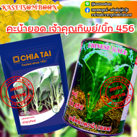 คะน้ายอด เจ้าคุณทิพย์/บิ๊ก 456 เมล็ดพันธุ์ 1 กก./500ก. ตราเจียไต๋/ปลาวาฬ