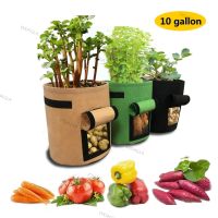 10 Gallon Plant Grow Bags Home Garden Potato Pot Vegetable Growing Bags Moisturizing Jardin Vertical Garden Bag Tools WDAGTH