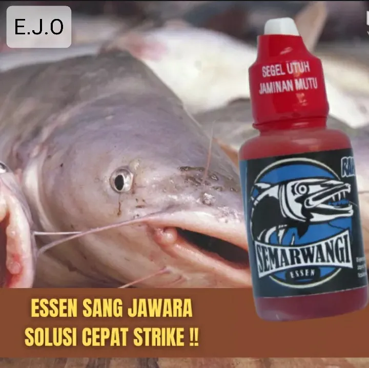 Semarwangi Essen Ikan Lele Mancing Galatama Lomba Induk Babon Isi 30ml